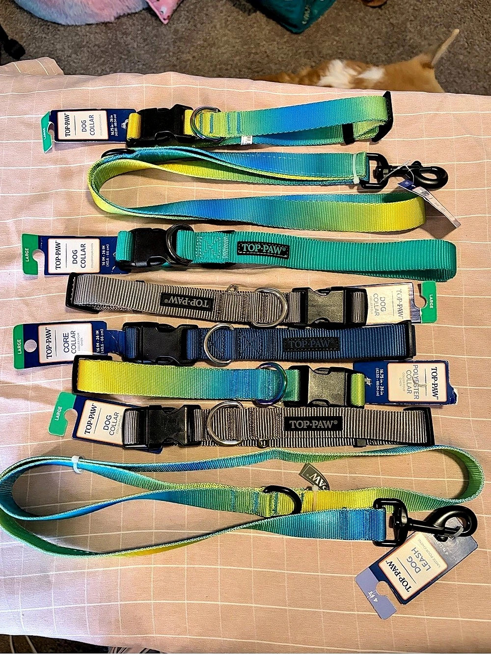 TOP PAW large Dog Collar and Leash Lot, Color Block